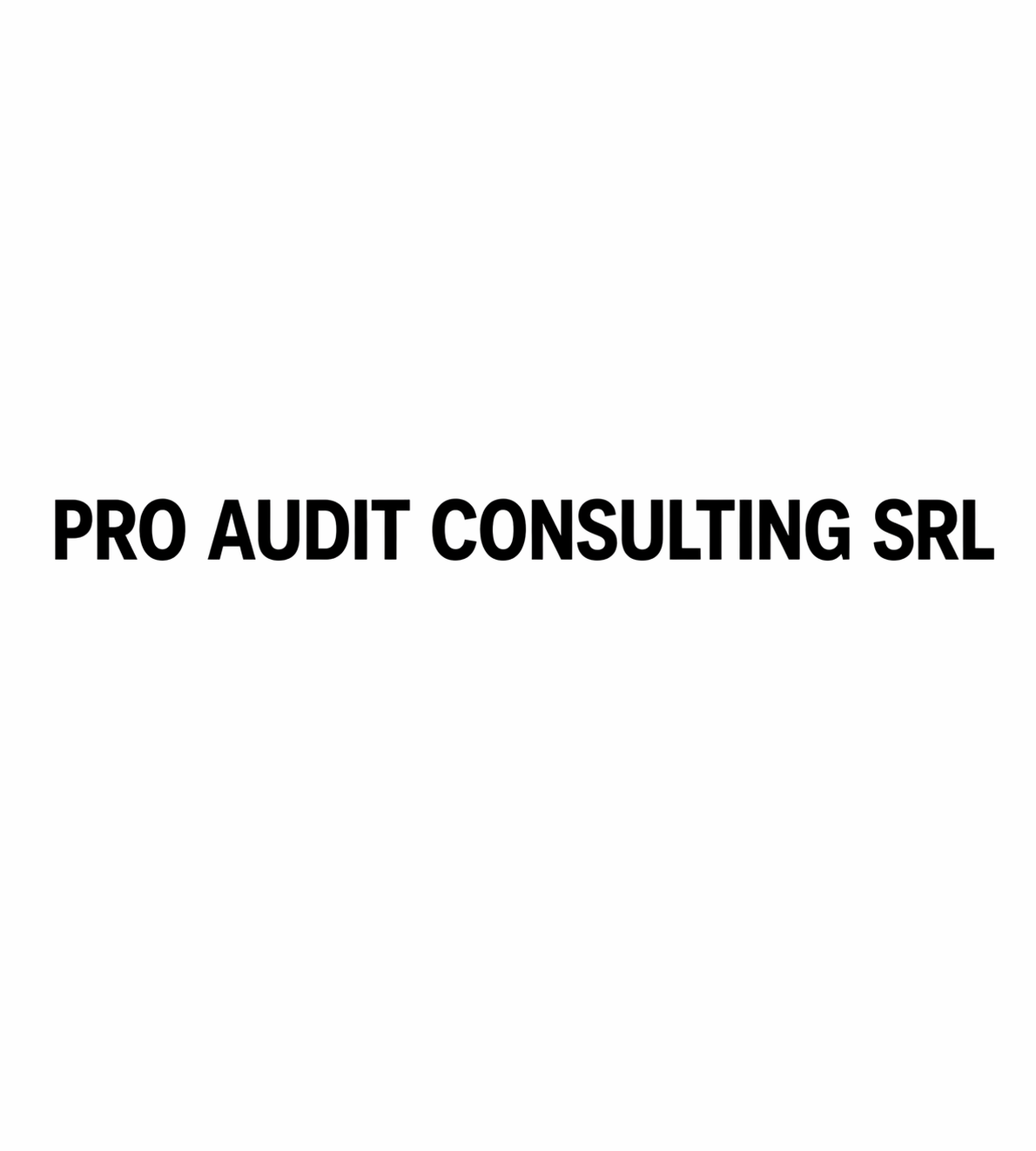 PRO AUDIT CONSULTING SRL Logo